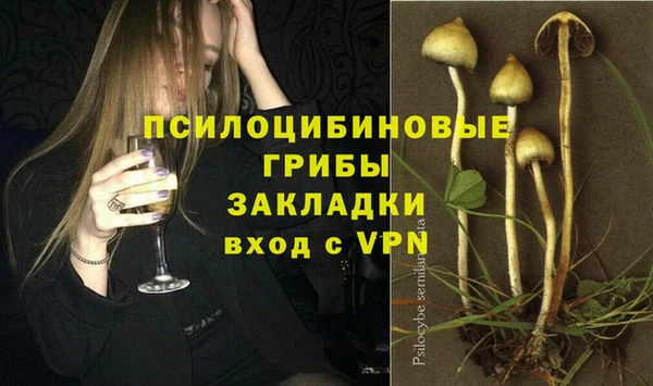 стаф Белокуриха